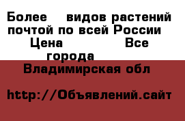 Более200 видов растений почтой по всей России › Цена ­ 100-500 - Все города  »    . Владимирская обл.